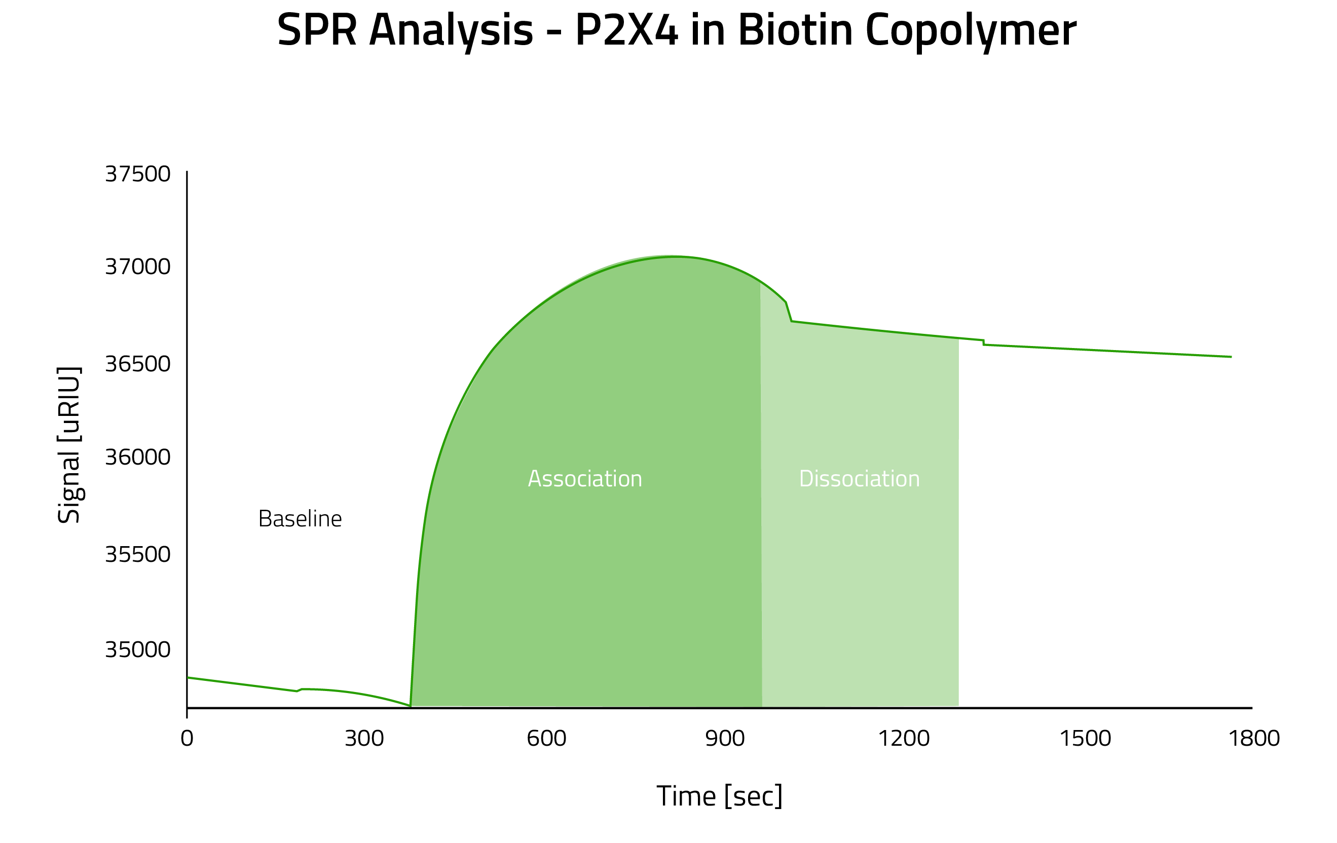 SPR Analysis - P2X4 in Biotinylated Copolymer